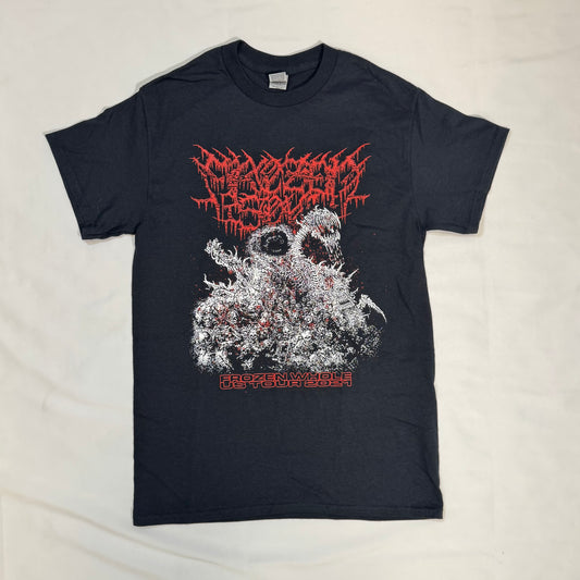 Whole US Tour Tee
